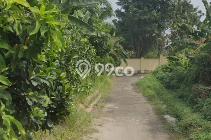 Tanah Strategis Dijual di Taktakan Serang 199m2 Tanah Strategis Dijual di Taktakan Serang 199m2