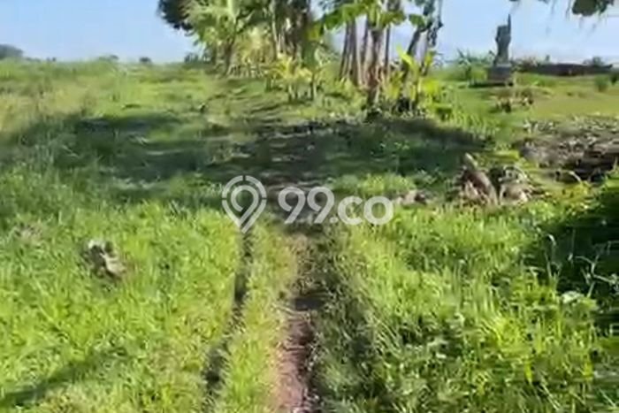 Tanah Dijual di Tabanan Seluas 300m2 Strategis Tanah Dijual di Tabanan Seluas 300m2 Strategis
