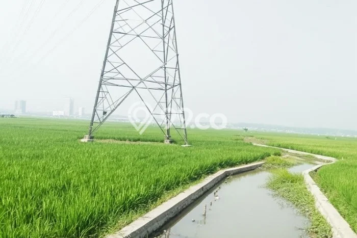 Lahan untuk Dijual Lokasi Karawang Barat, Karawang Luas 32000m2 SHM Lahan untuk Dijual Lokasi Karawang Barat, Karawang Luas 32000m2 SHM