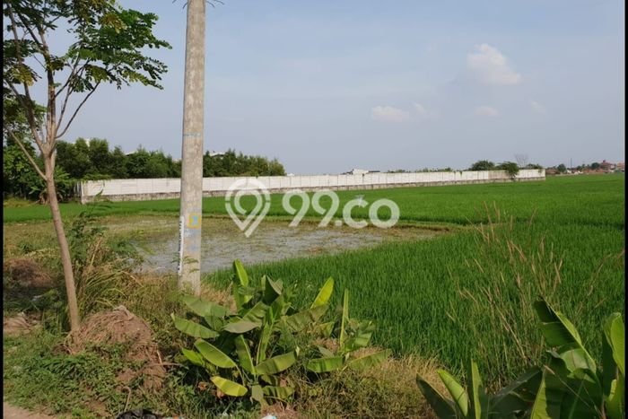 Dijual Tanah di Karawang Barat Karawang Luas 57508m2 SHM Dijual Tanah di Karawang Barat Karawang Luas 57508m2 SHM