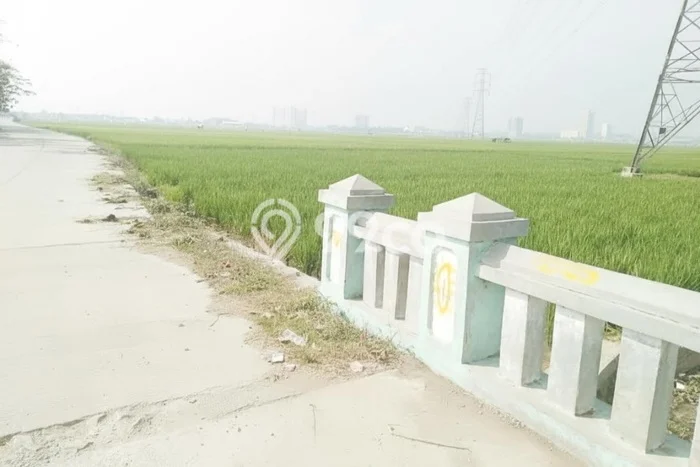 Lahan untuk Dijual Lokasi Karawang Barat, Karawang Luas 32000m2 SHM Lahan untuk Dijual Lokasi Karawang Barat, Karawang Luas 32000m2 SHM