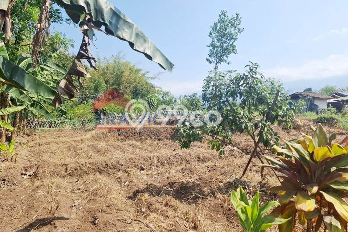 Tanah untuk Dijual Lokasi Junrejo, Batu Luas 384m2 SHM Tanah untuk Dijual Lokasi Junrejo, Batu Luas 384m2 SHM
