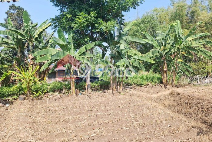 Tanah untuk Dijual Lokasi Junrejo, Batu Luas 384m2 SHM Tanah untuk Dijual Lokasi Junrejo, Batu Luas 384m2 SHM