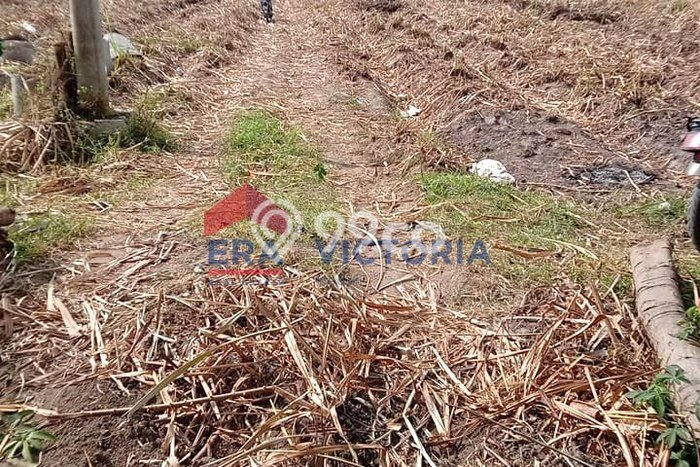 Tanah Komersial Dijual di Kras Kediri 6300m2 Tanah Komersial Dijual di Kras Kediri 6300m2
