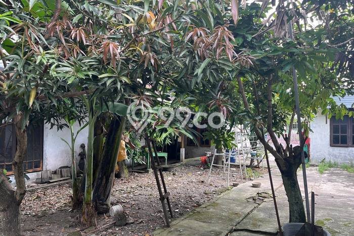 Tanah Kavling Dijual di Surakarta dengan Spesifikasi 586m2 Tanah Kavling Dijual di Surakarta dengan Spesifikasi 586m2