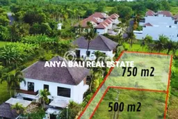 Tanah Kavling Dijual di Beraban, Tabanan dengan Luas Tanah 500m2 Tanah Kavling Dijual di Beraban, Tabanan dengan Luas Tanah 500m2