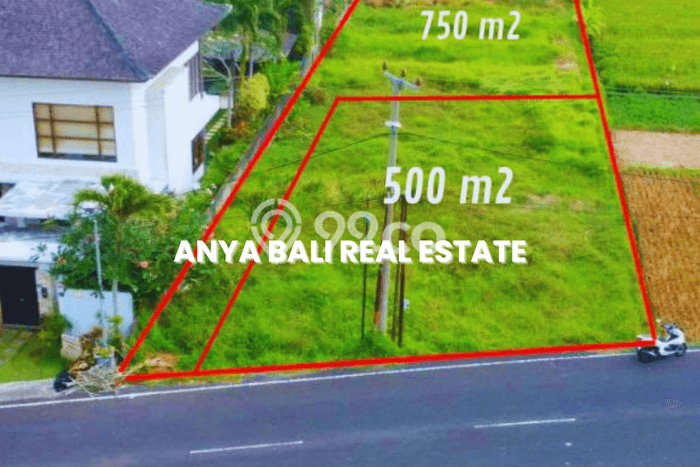 Tanah Kavling Dijual di Beraban, Tabanan dengan Luas Tanah 500m2 Tanah Kavling Dijual di Beraban, Tabanan dengan Luas Tanah 500m2