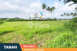 Tanah Dijual Lokasi Jabung, Malang dengan Luas Tanah 4202m2 dan Status SHM Tanah Dijual Lokasi Jabung, Malang dengan Luas Tanah 4202m2 dan Status SHM