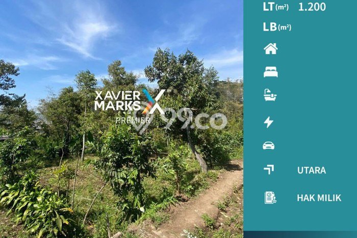 Tanah Dijual Lokasi Batu, Batu Luas 1200m2 Legalitas Aman Tanah Dijual Lokasi Batu, Batu Luas 1200m2 Legalitas Aman
