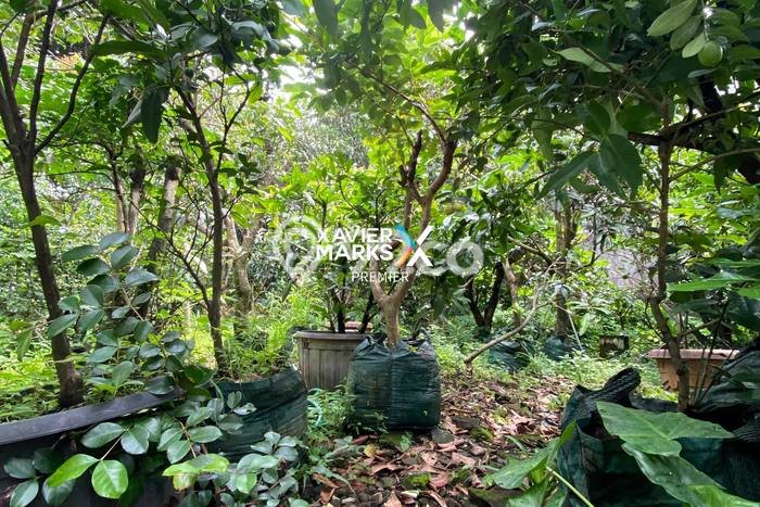 Tanah Kavling Dijual di Dieng Tidar, Malang dengan Luas Tanah 525m2 Tanah Kavling Dijual di Dieng Tidar, Malang dengan Luas Tanah 525m2
