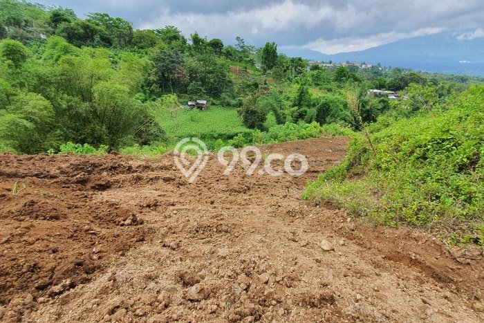 Tanah Dijual Lokasi Strategis di Malang dengan Luas 14786m2 Tanah Dijual Lokasi Strategis di Malang dengan Luas 14786m2