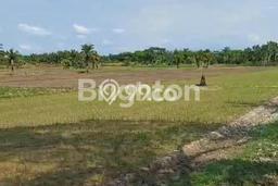 Kavling Tanah Dijual di Pancur Batu Deli Serdang Spesifikasi 49200m2 Kavling Tanah Dijual di Pancur Batu Deli Serdang Spesifikasi 49200m2