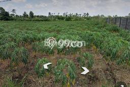 Kavling Tanah Dijual di Medan Tuntungan Medan Spesifikasi 20000m2 Kavling Tanah Dijual di Medan Tuntungan Medan Spesifikasi 20000m2