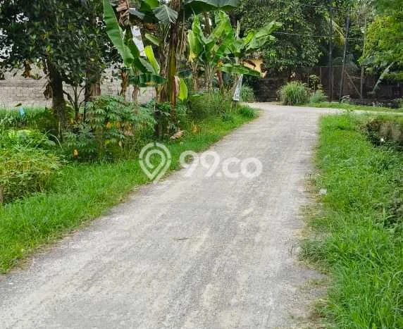 Kavling Tanah Dijual di Binjai Utara Binjai Spesifikasi 4219m2 Kavling Tanah Dijual di Binjai Utara Binjai Spesifikasi 4219m2