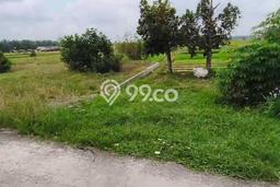 Kavling Tanah Dijual di Binjai Utara Binjai Spesifikasi 4219m2 Kavling Tanah Dijual di Binjai Utara Binjai Spesifikasi 4219m2