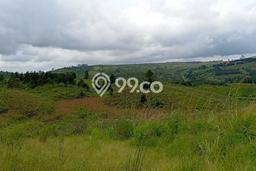 Tanah Dijual Lokasi Kabanjahe, Karo Luas 29204m2 Legalitas Aman Tanah Dijual Lokasi Kabanjahe, Karo Luas 29204m2 Legalitas Aman