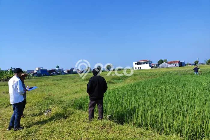 Tanah untuk Dijual di Demak Demak Luas 120m2 Tanah untuk Dijual di Demak Demak Luas 120m2