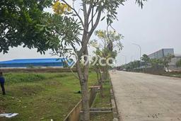 Lahan untuk Dijual Lokasi Karawang Barat, Karawang Luas 17570m2 - Lahan untuk Dijual Lokasi Karawang Barat, Karawang Luas 17570m2 -