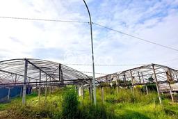 Tanah Kavling Dijual di Batu, Malang dengan Luas Tanah 1300m2 Tanah Kavling Dijual di Batu, Malang dengan Luas Tanah 1300m2