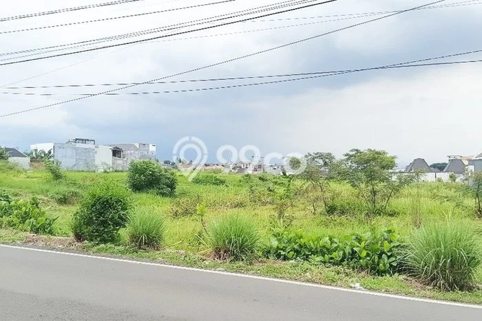 Tanah Kavling Disewakan di Dieng dengan Luas 4750m2 Tanah Kavling Disewakan di Dieng dengan Luas 4750m2