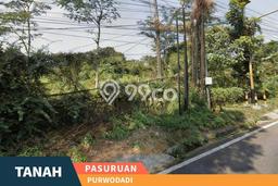 Tanah di Purwodadi, Pasuruan Luas 1960m2 Dijual Segera Tanah di Purwodadi, Pasuruan Luas 1960m2 Dijual Segera