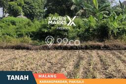 Disewakan Tanah Lokasi Strategis di Pakisaji Malang 1190m2 Disewakan Tanah Lokasi Strategis di Pakisaji Malang 1190m2