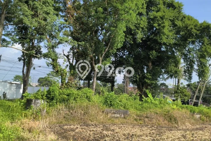 Disewakan Tanah Lokasi Strategis di Pakisaji Malang 1190m2 Disewakan Tanah Lokasi Strategis di Pakisaji Malang 1190m2