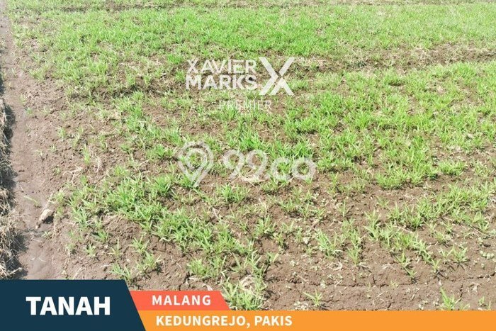 Lahan Kosong Dijual di Pakis, Malang, Luas 844m2 Area Strategis Lahan Kosong Dijual di Pakis, Malang, Luas 844m2 Area Strategis