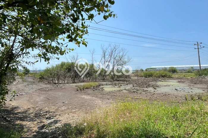 Tanah di Kaliwungu, Kendal Luas 50000m2 Dijual Segera Tanah di Kaliwungu, Kendal Luas 50000m2 Dijual Segera