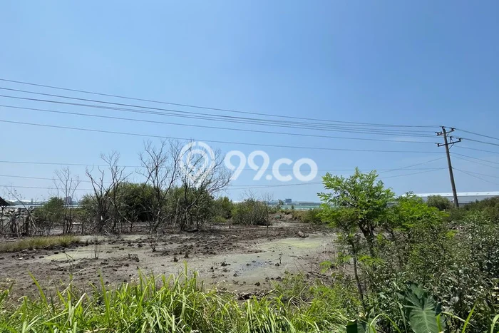 Tanah di Kaliwungu, Kendal Luas 50000m2 Dijual Segera Tanah di Kaliwungu, Kendal Luas 50000m2 Dijual Segera