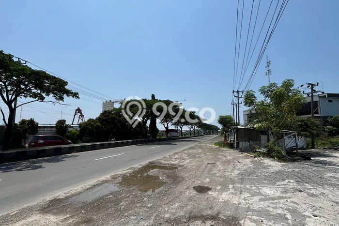 Dijual Tanah di Kaliwungu Kendal Luas 5000m2 SHM Dijual Tanah di Kaliwungu Kendal Luas 5000m2 SHM
