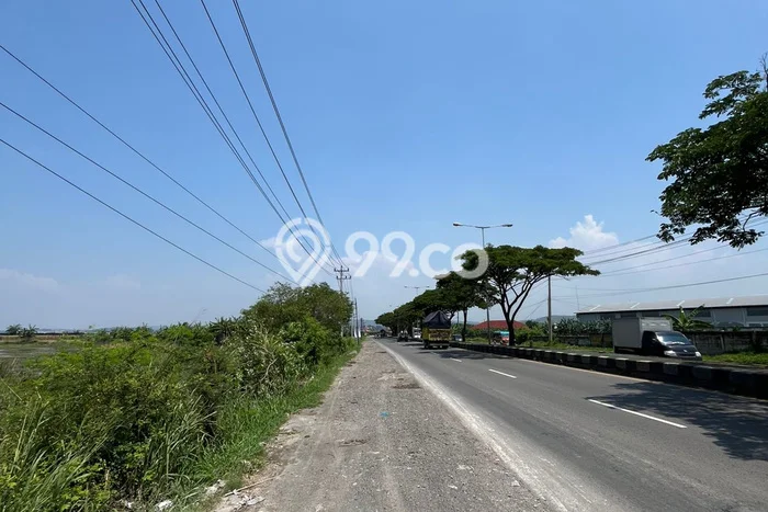 Dijual Tanah di Kaliwungu Kendal Luas 5000m2 SHM Dijual Tanah di Kaliwungu Kendal Luas 5000m2 SHM
