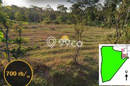 Tanah Kavling untuk Dijual di Cepogo Boyolali 550000m2 Tanah Kavling untuk Dijual di Cepogo Boyolali 550000m2