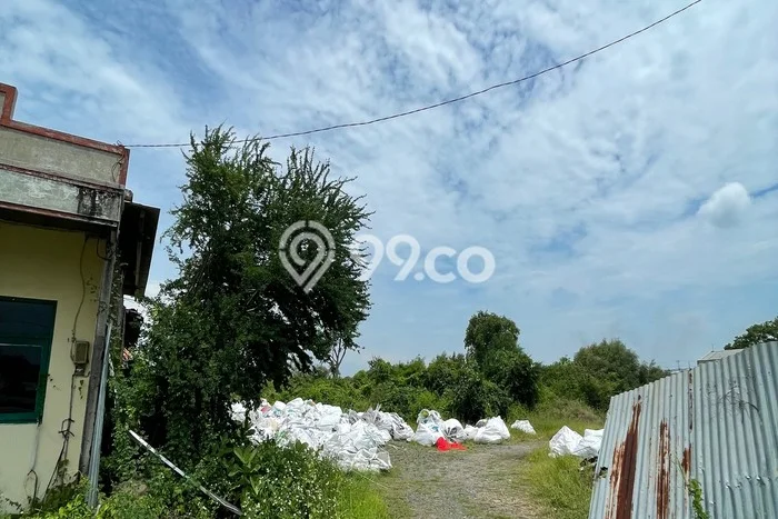 Lahan Investasi Lokasi Kaliwungu Semarang SHM Lahan Investasi Lokasi Kaliwungu Semarang SHM