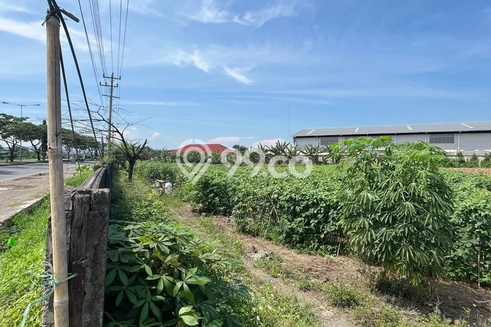 Jarang Ada! Tanah di Kaliwungu Punya Luas 10730m2 SHM Jarang Ada! Tanah di Kaliwungu Punya Luas 10730m2 SHM