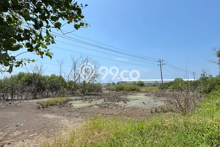 Tanah di Kaliwungu, Kendal Luas 50000m2 Dijual Segera Tanah di Kaliwungu, Kendal Luas 50000m2 Dijual Segera