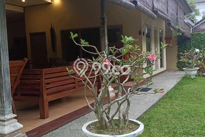 Disewakan Rumah Harga Terjangkau di Kerobokan Kelod Badung Punya 3 Kamar Tidur Disewakan Rumah Harga Terjangkau di Kerobokan Kelod Badung Punya 3 Kamar Tidur