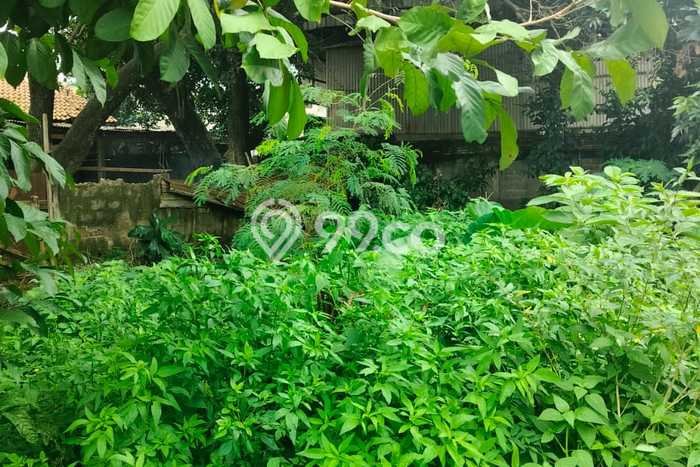 Dijual Tanah di Bogor, Luas 2000m2 - Dijual Tanah di Bogor, Luas 2000m2 -