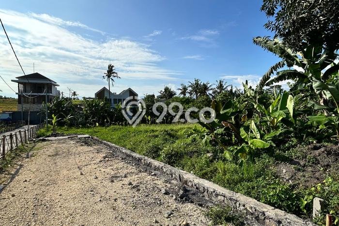 Lahan untuk Dijual di Tabanan Tabanan Luas 300m2 Lahan untuk Dijual di Tabanan Tabanan Luas 300m2