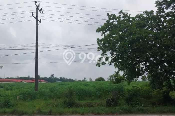 Kavling Tanah Dijual di Bumi Ratu Nuban Lampung Tengah Spesifikasi 34683m2 Kavling Tanah Dijual di Bumi Ratu Nuban Lampung Tengah Spesifikasi 34683m2