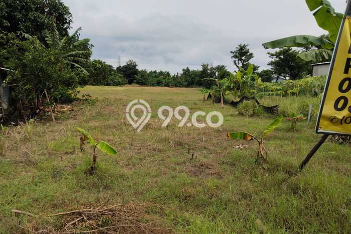 Tanah Dijual Lokasi Gondangrejo, Karanganyar Luas 14209m2 Legalitas Aman Tanah Dijual Lokasi Gondangrejo, Karanganyar Luas 14209m2 Legalitas Aman