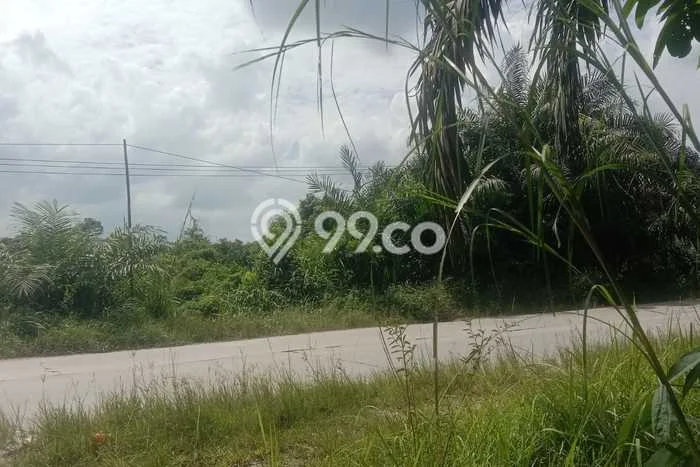 Tanah Kavling di Siak Hulu Dijual dengan Luas 30460m2 Tanah Kavling di Siak Hulu Dijual dengan Luas 30460m2