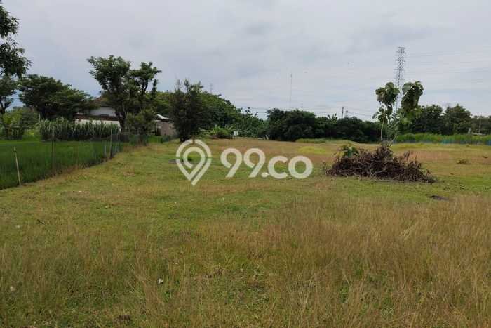 Tanah Dijual Lokasi Gondangrejo, Karanganyar Luas 14209m2 Legalitas Aman Tanah Dijual Lokasi Gondangrejo, Karanganyar Luas 14209m2 Legalitas Aman