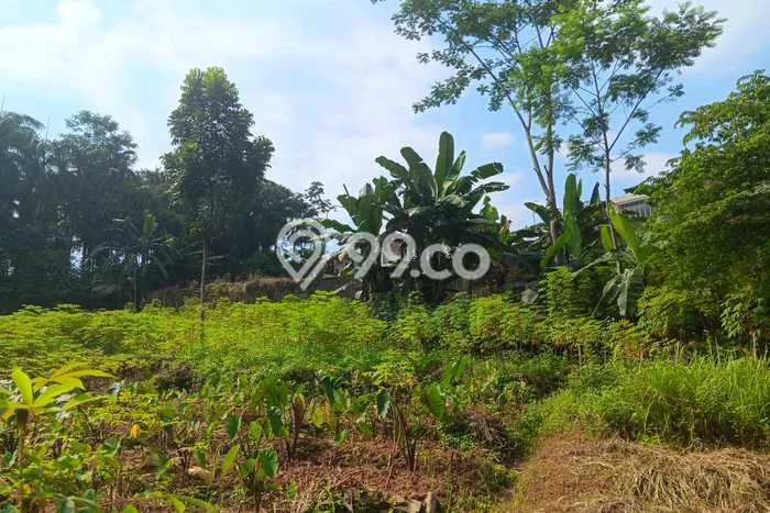 Tanah Investasi Dijual di Bogor Punya Luas 4160m2 Tanah Investasi Dijual di Bogor Punya Luas 4160m2