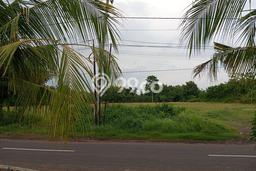 Kavling Tanah untuk Dijual di Tegalbadeng Barat, Jembrana, Luas 10940m2 Kavling Tanah untuk Dijual di Tegalbadeng Barat, Jembrana, Luas 10940m2