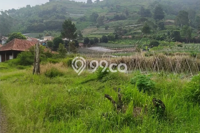 Tanah untuk Dijual Lokasi Lembang, Bandung Barat Luas 20000m2 SHM Tanah untuk Dijual Lokasi Lembang, Bandung Barat Luas 20000m2 SHM