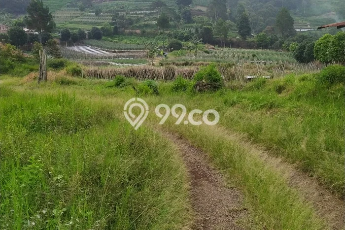 Tanah untuk Dijual Lokasi Lembang, Bandung Barat Luas 20000m2 SHM Tanah untuk Dijual Lokasi Lembang, Bandung Barat Luas 20000m2 SHM