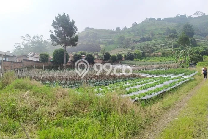 Tanah untuk Dijual Lokasi Lembang, Bandung Barat Luas 20000m2 SHM Tanah untuk Dijual Lokasi Lembang, Bandung Barat Luas 20000m2 SHM