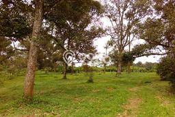 Lahan Dijual Lokasi Mande, Cianjur dengan Luas Tanah 15800m2 dan Status SHM Lahan Dijual Lokasi Mande, Cianjur dengan Luas Tanah 15800m2 dan Status SHM