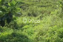 Untuk Dijual Tanah di Bogor, Luas 1e+06m2 SHM Untuk Dijual Tanah di Bogor, Luas 1e+06m2 SHM